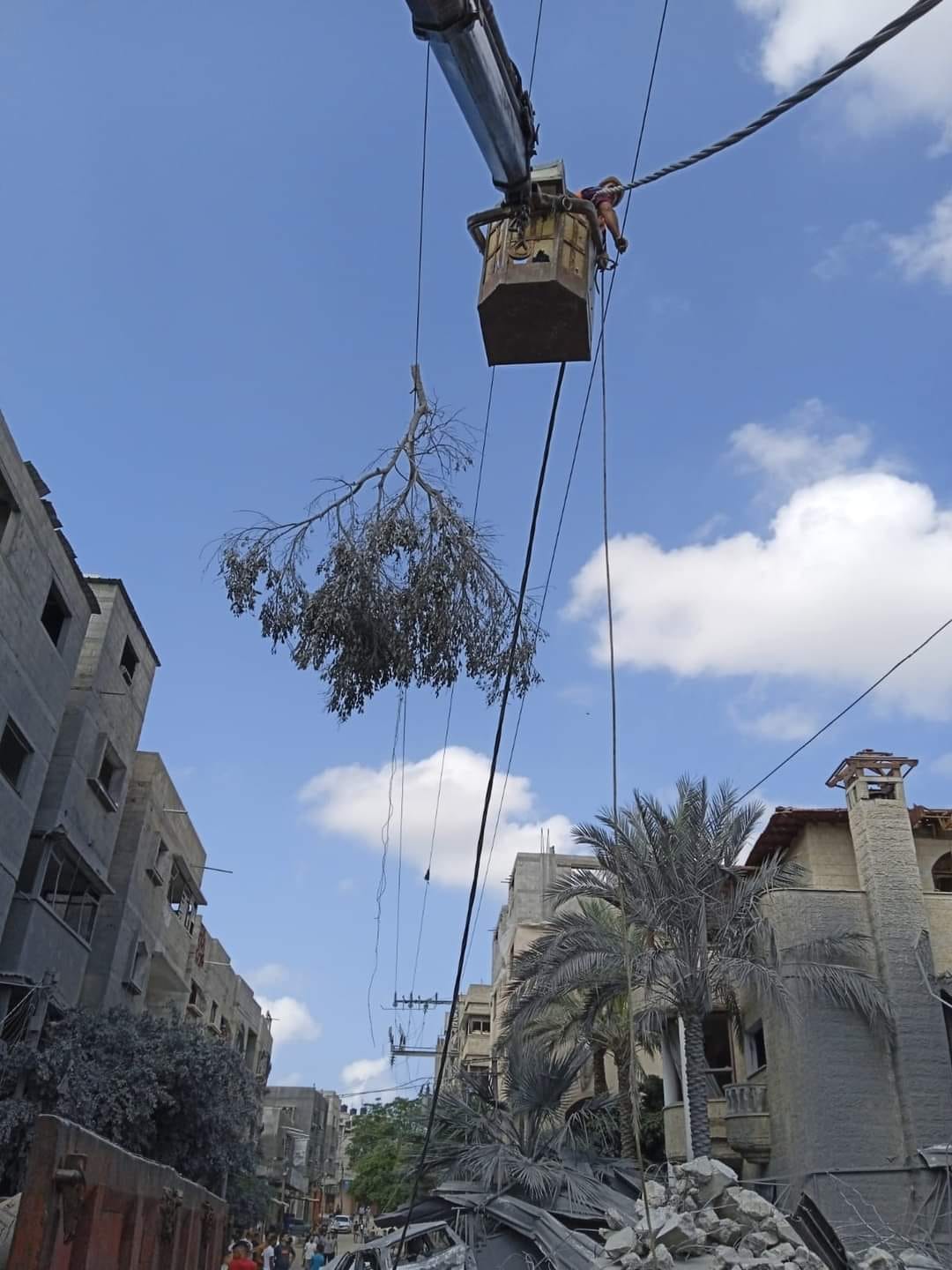 خلال تنفيذ طواقم شركة توزيع الكهرباء لعدد من المهام المتعلقة بإزالة أخطار وصيانة شبكة  الضغط العالي والمنخفض في محافظة خانيونس بعد تضررها جراء العدوان